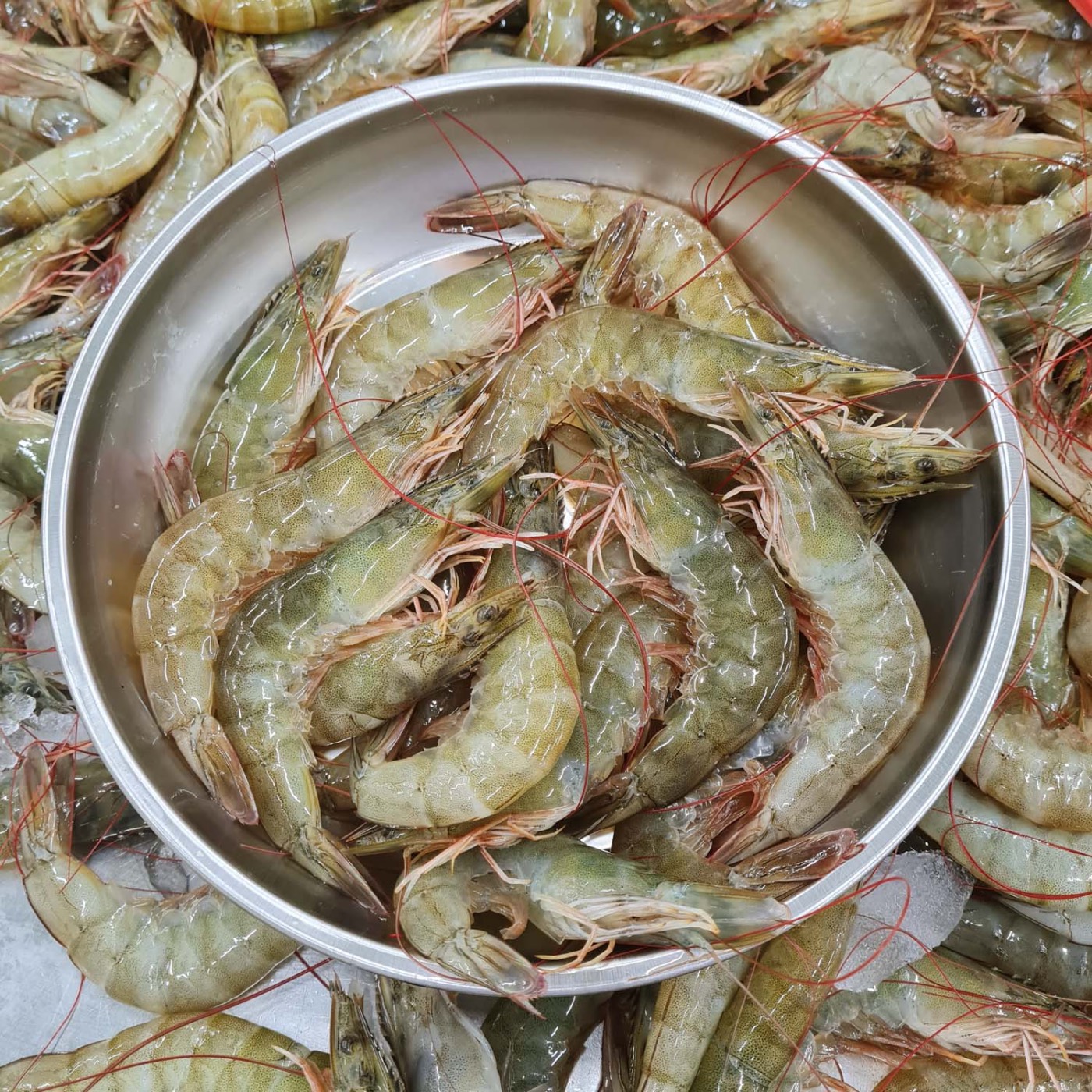 กุ้งขาว size ใหญ่